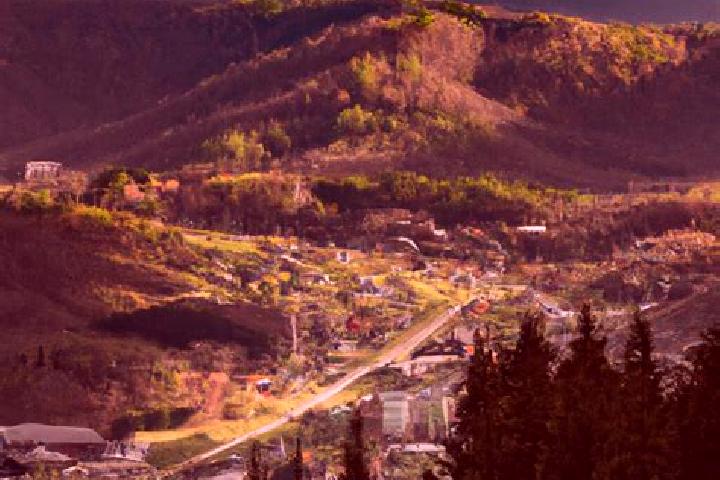 Harper, 38 — Escort in Roan Mountain, United States