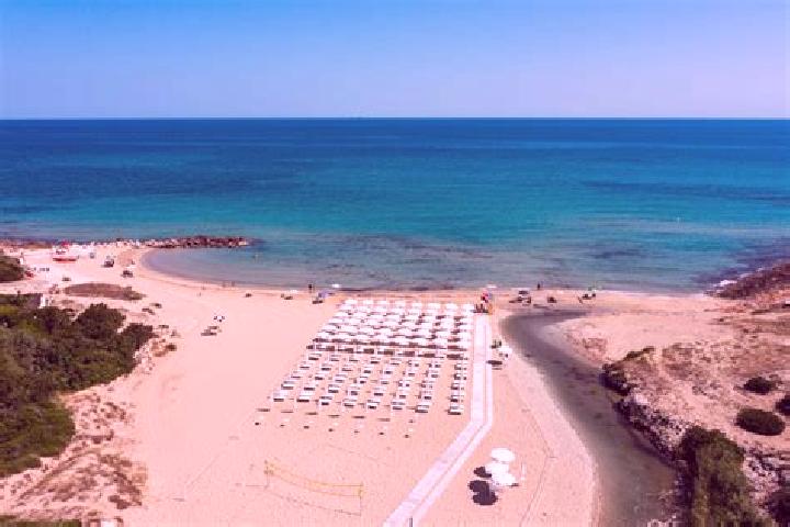 Harper, 38 — Escort in Sacosu Mare, Romania