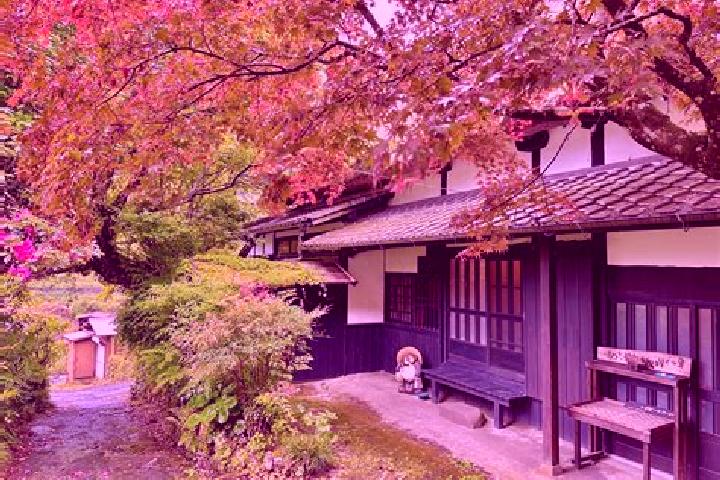 Harper, 38 — Escort in Ukiha, Japan