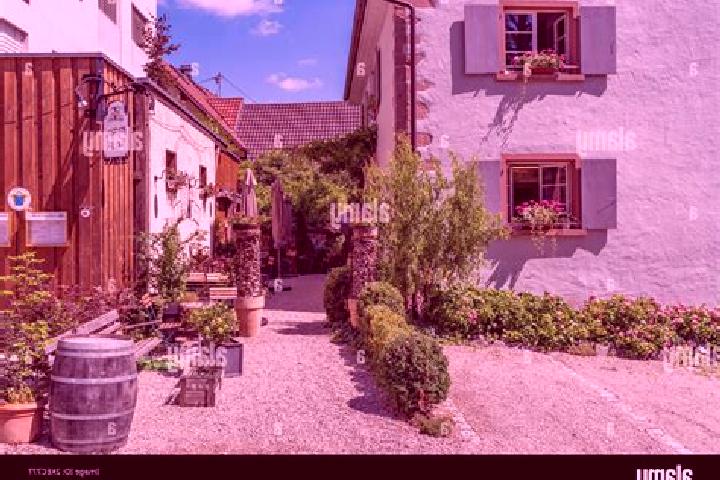 Harper, 38 — Escort in Wollbach, Germany