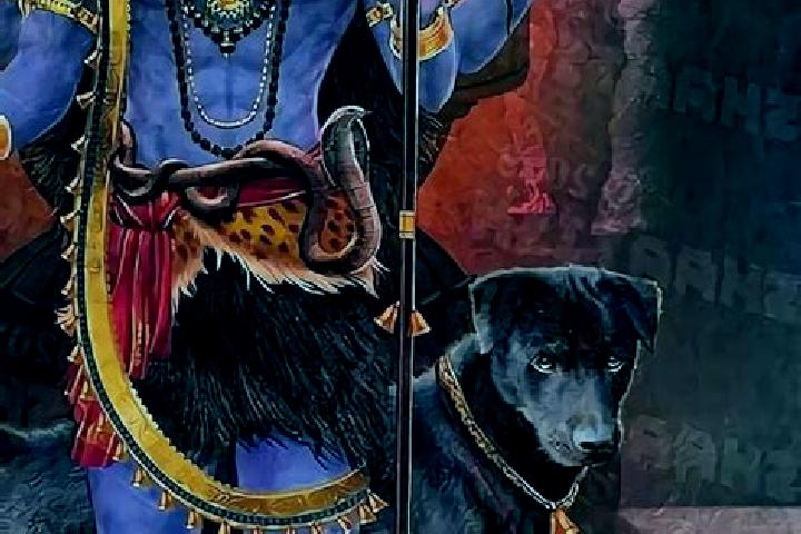 Harper, 39, a red grey-eyed slavic companion based in Vahan. Offering Travel Companion, Overnight, Tantra. Available for incall and outcall, day and evening ...