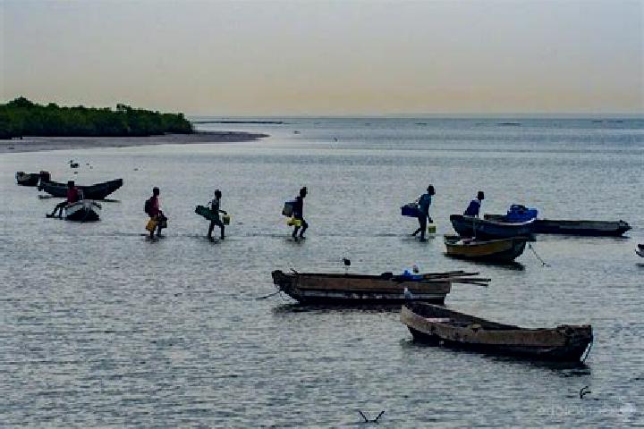 Harper, 39 — Escort in Albadarr, Gambia