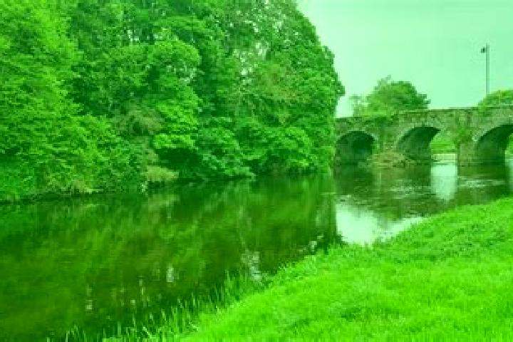 Harper, 39 — Escort in Bunclody, Ireland