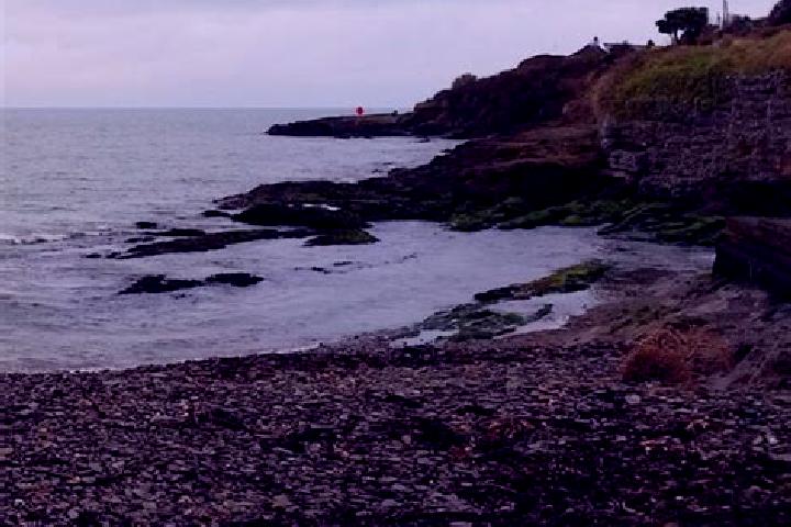 Harper, 39 — Escort in Fountainstown, Ireland