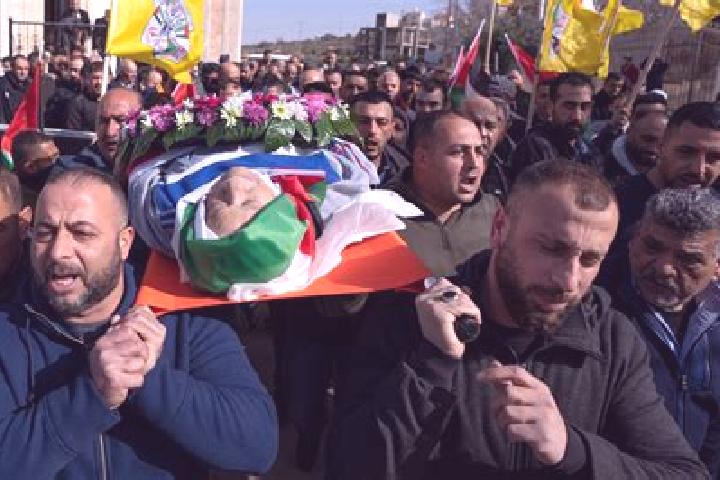 Harper, 39 — Escort in Jiljiliya, Palestine