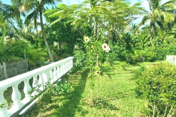 Harper, 39 — Escort in Sainte-Rose, Reunion