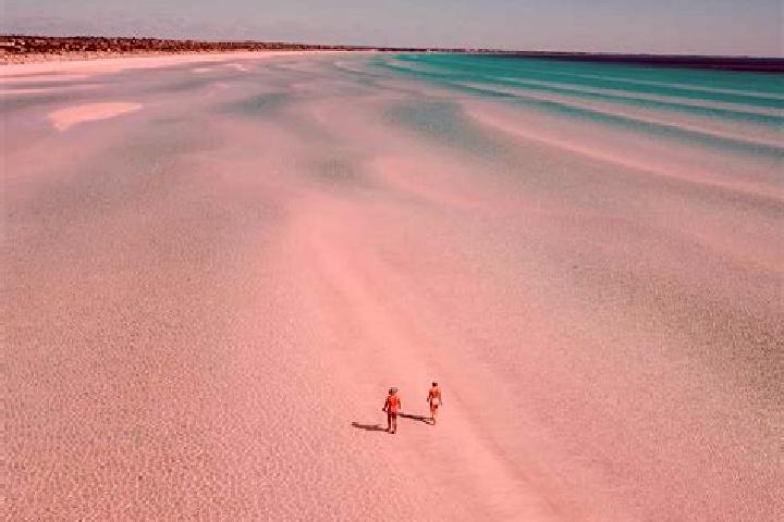 Harper, 39 — Escort in Sapphire Beach, Australia