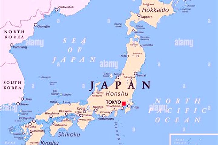 Harper, 39 — Escort in Shizukuishi, Japan