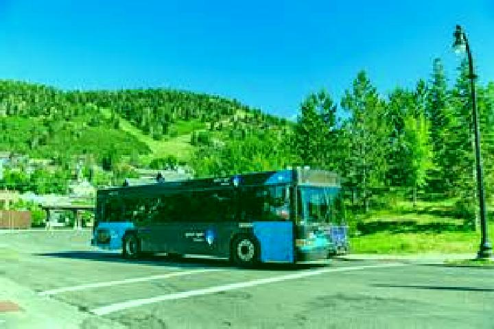 Harper, 39 — Escort in Silver Summit, United States