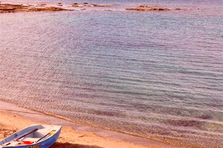 Harper, 39 — Escort in Siniscola, Italy