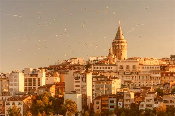Harper, 39 — Escort in Tetirlik, Turkey