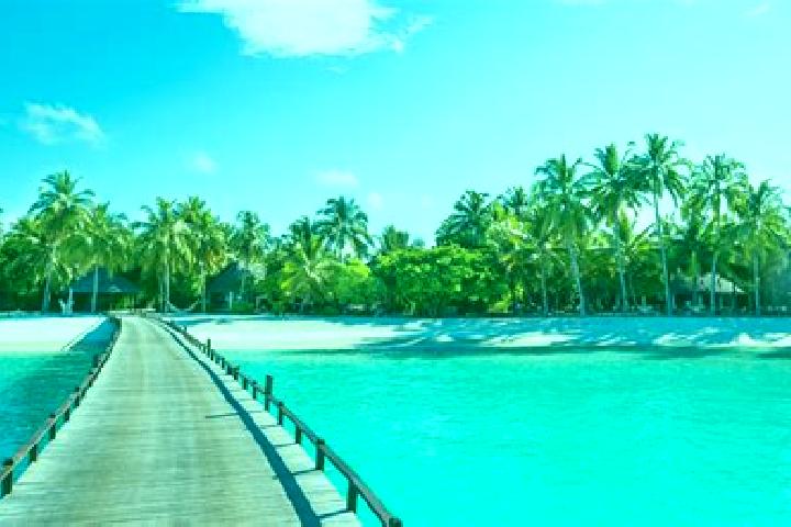 Harper, 39 — Escort in Vaitoare, French Polynesia