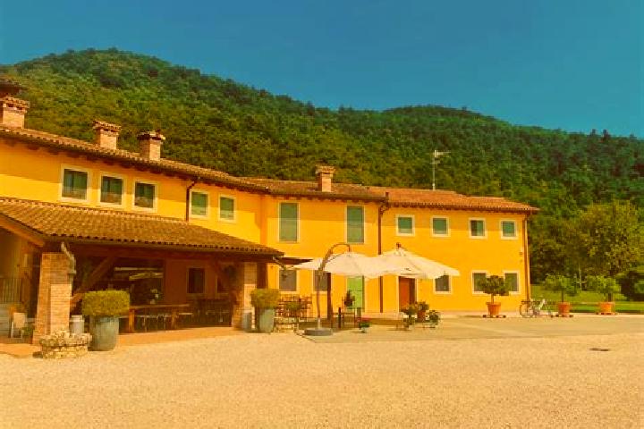 Harper, 39 — Escort in Villa Vicentina, Italy