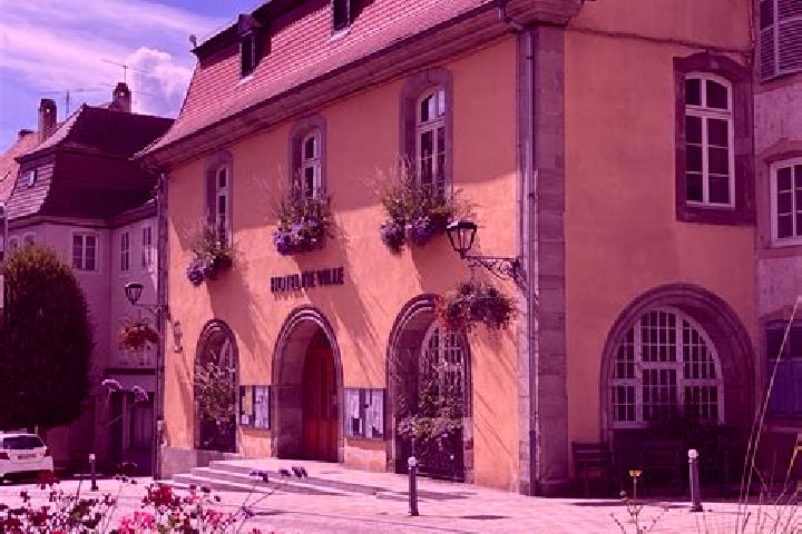 Harper, 39 — Escort in Woerth, France
