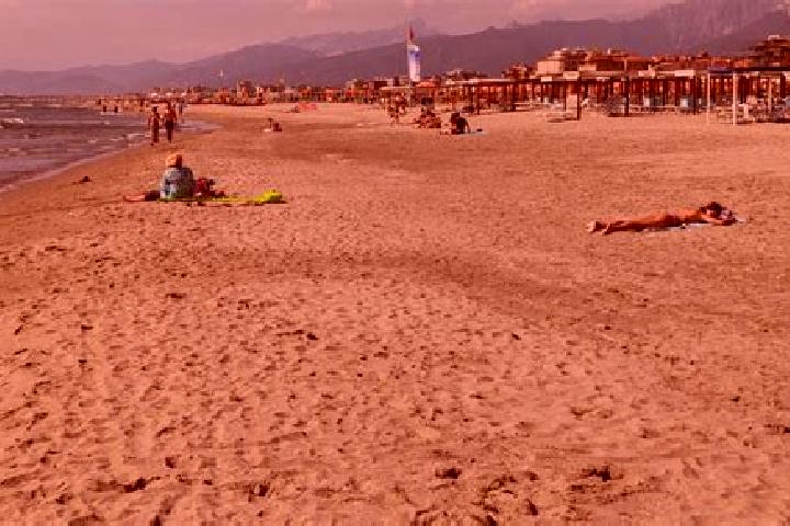 Hazel, 20 — Escort in Corsanico-Bargecchia, Italy