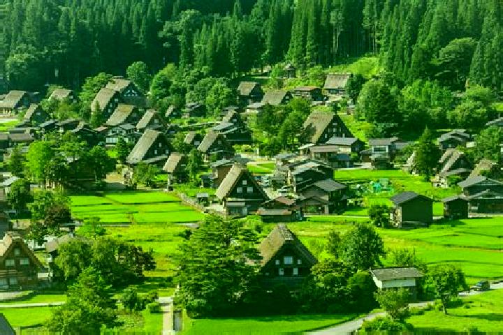 Hazel, 20 — Escort in Hirakawa, Japan
