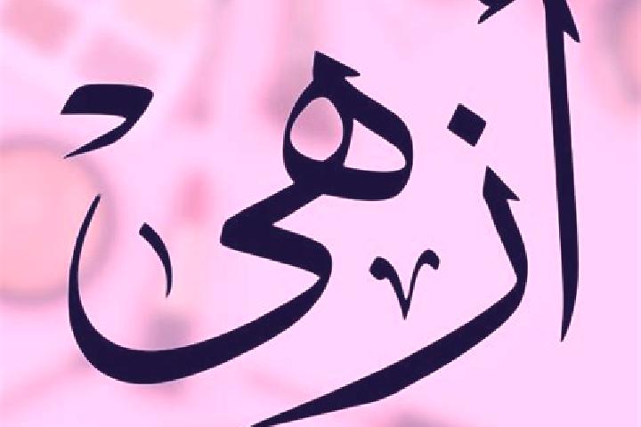 Hazel, 20 — Escort in Itay al Barud, Egypt