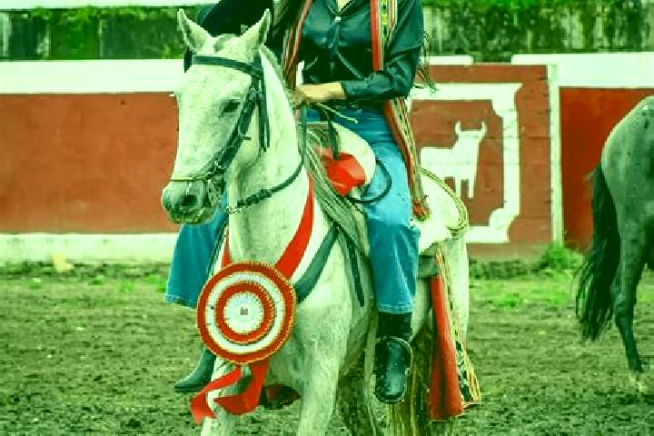 Hazel, 20 — Escort in Livitaca, Peru