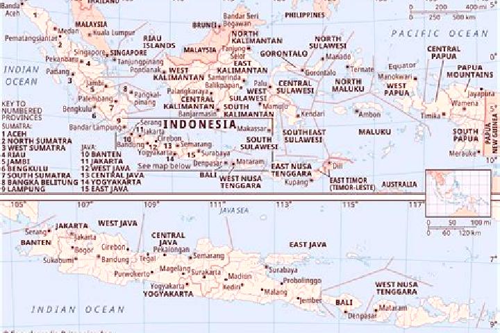 Hazel, 20 — Escort in Ngarus, Indonesia