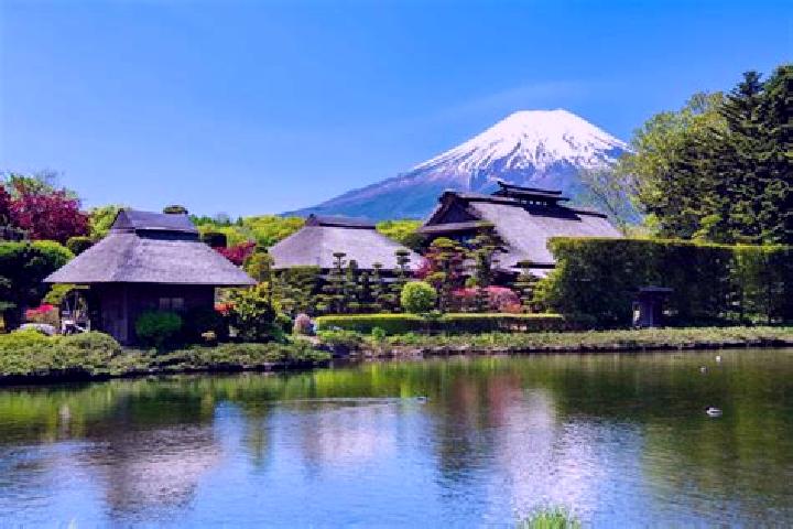 Hazel, 20 — Escort in Oshino, Japan
