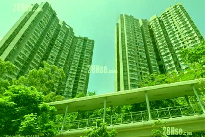 Hazel, 20 — Escort in Wan Tsui Estate, Hong Kong