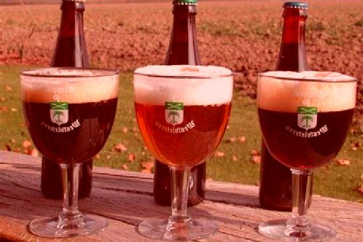 Hazel, 20 — Escort in Westvleteren, Belgium