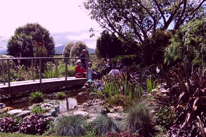 Hazel, 20 — Escort in Woodend, New Zealand