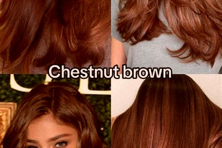 Hazel, 21, a chestnut dark-eyed middle eastern companion based in Ijero-Ekiti. Offering Roleplay, A-Level, Couples, Duos, Domination. Available for incall an...