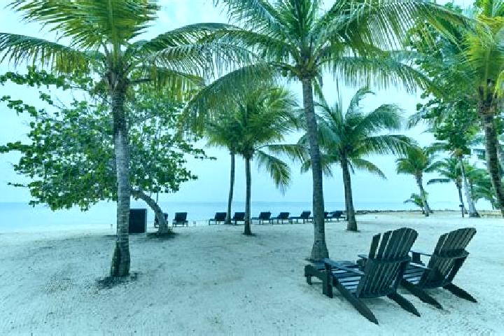 Hazel, 21 — Escort in Los Tambos, Belize