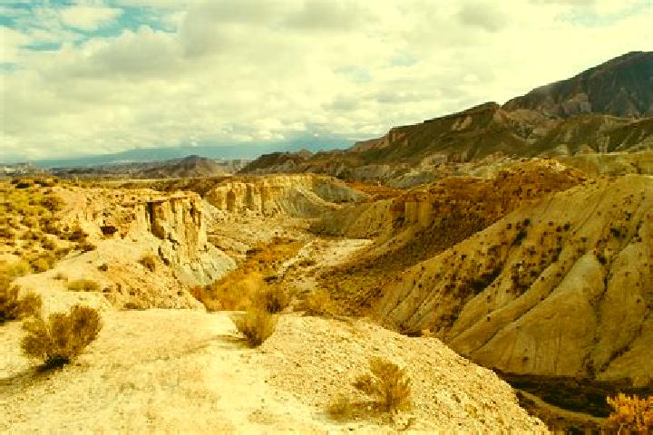 Hazel, 21 — Escort in Tabernas, Spain