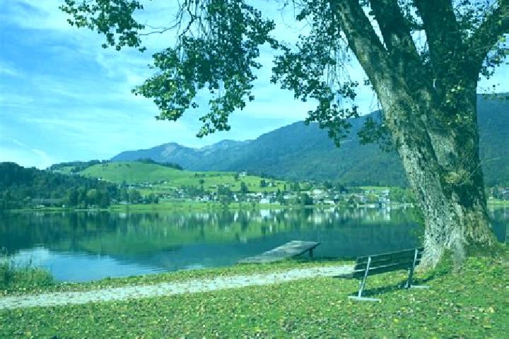 Hazel, 21 — Escort in Vorderthiersee, Austria