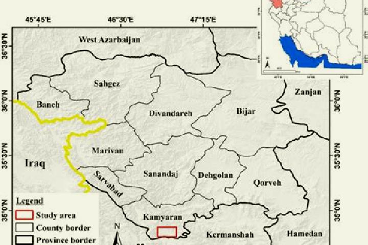 Hazel, 22 — Escort in Kamyaran, Iran