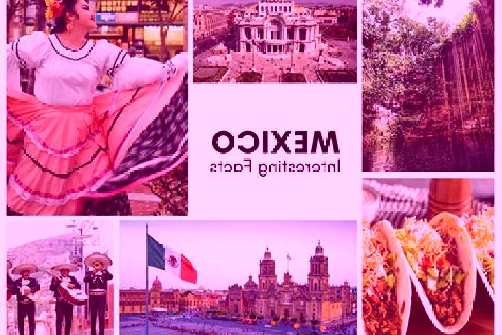 Hazel, 22 — Escort in Paso Lagarto, Mexico