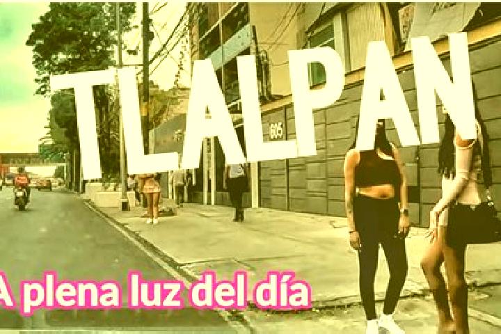 Hazel, 22 — Escort in Santiago Tlalpan, Mexico