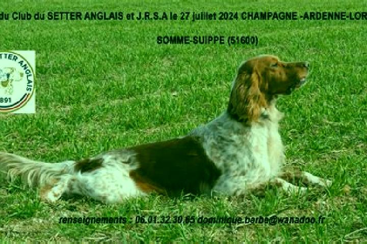 Hazel, 22 — Escort in Somme-Suippe, France