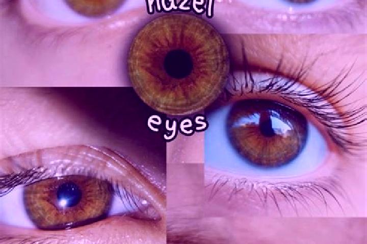 Hazel, 23, a dark blonde hazel-eyed asian companion based in Foum el Oued. Offering Prostate Massage, Striptease, A-Level, Massage. Available for incall and ...