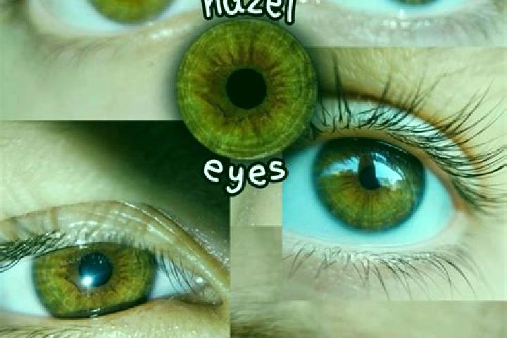Hazel, 23, a dark blonde hazel-eyed asian companion based in Spantekow. Offering Prostate Massage, Girlfriend Experience, OWO, CIM. Available for incall and ...