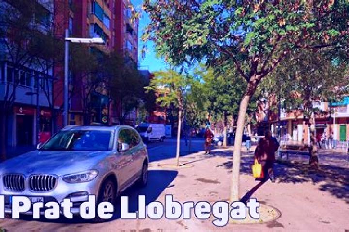Hazel, 23 — Escort in El Prat de Llobregat, Spain