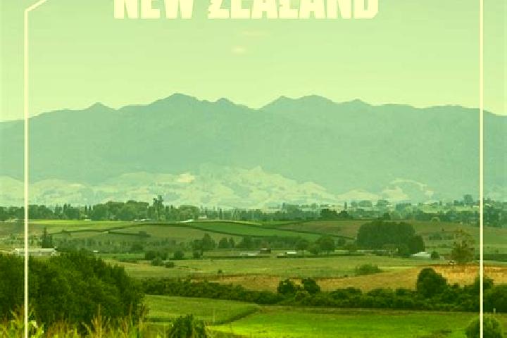 Hazel, 23 — Escort in Pirongia, New Zealand