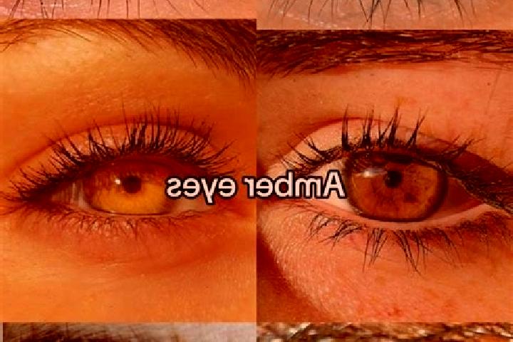 Hazel, 24, a brunette amber-eyed european companion based in Mitaka. Offering Duos, A-Level, Tantra, Fetish. Available for incall and outcall, overnight book...