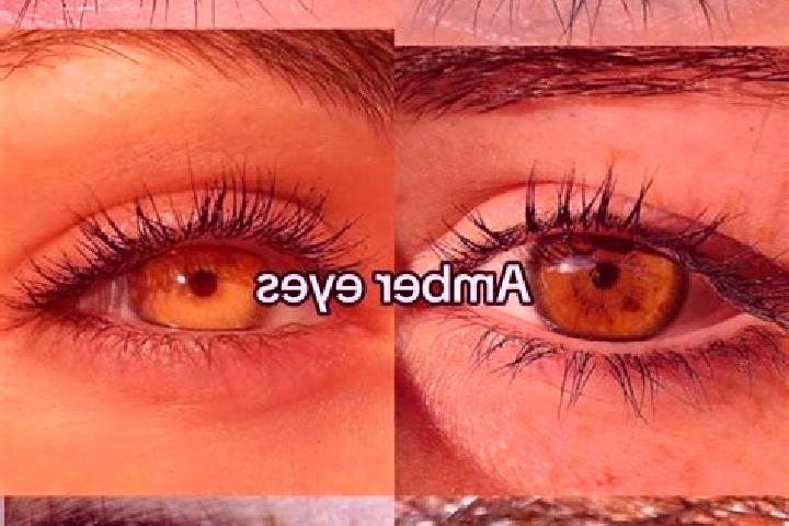 Hazel, 24, a brunette amber-eyed middle eastern companion based in Porangaba. Offering Couples, Overnight, A-Level, Duos, Striptease. Available for incall an...