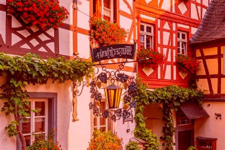 Hazel, 24 — Escort in Dumpelfeld, Germany