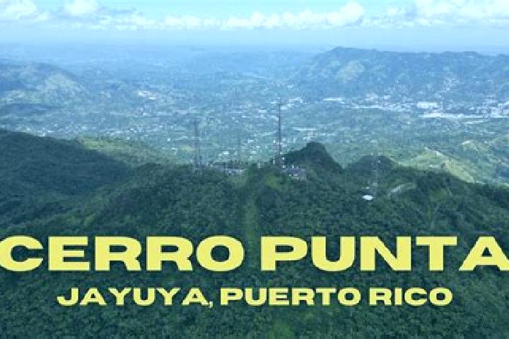 Hazel, 24 — Escort in Jayuya, Puerto Rico