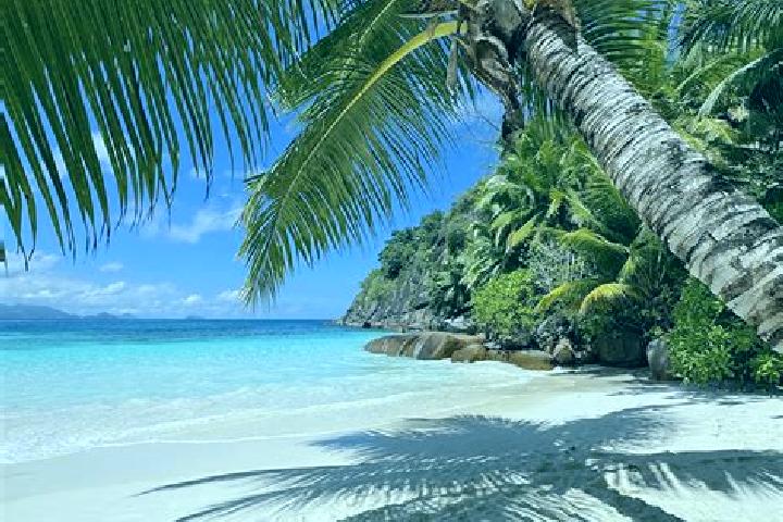 Hazel, 24 — Escort in Plaisance, Seychelles