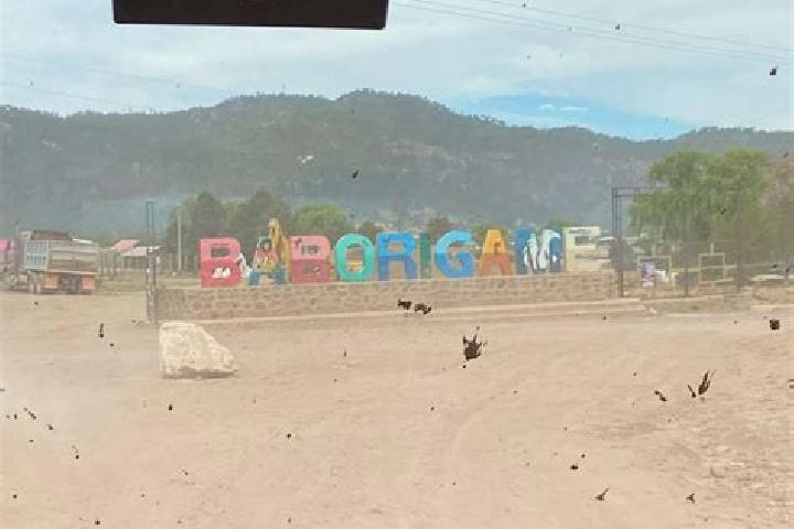 Hazel, 25 — Escort in Baborigame, Mexico
