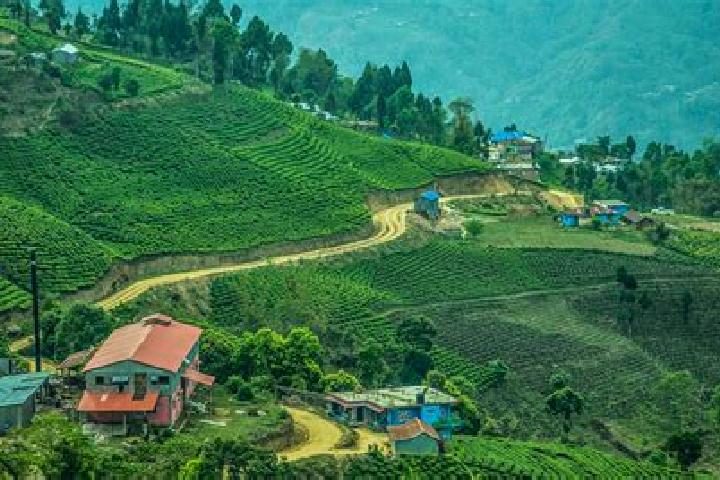 Hazel, 25 — Escort in Ilam, Nepal