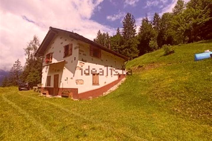 Hazel, 25 — Escort in Laggio di Cadore, Italy