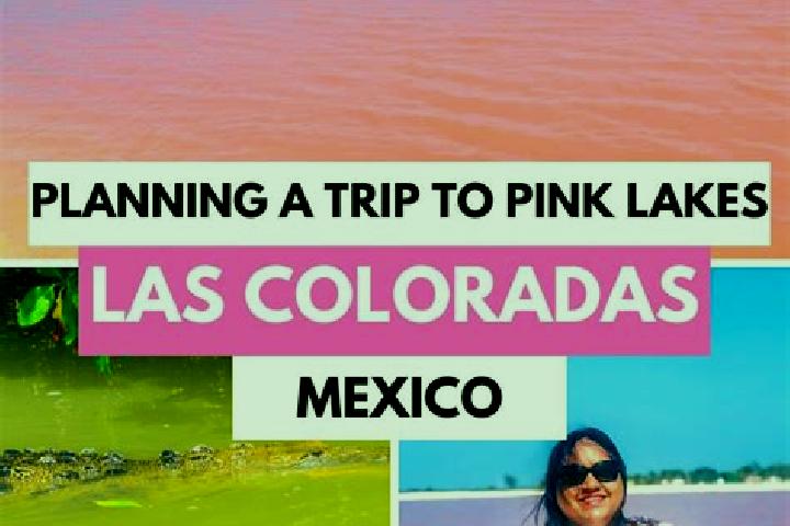 Hazel, 25 — Escort in Las Coloradas, Mexico