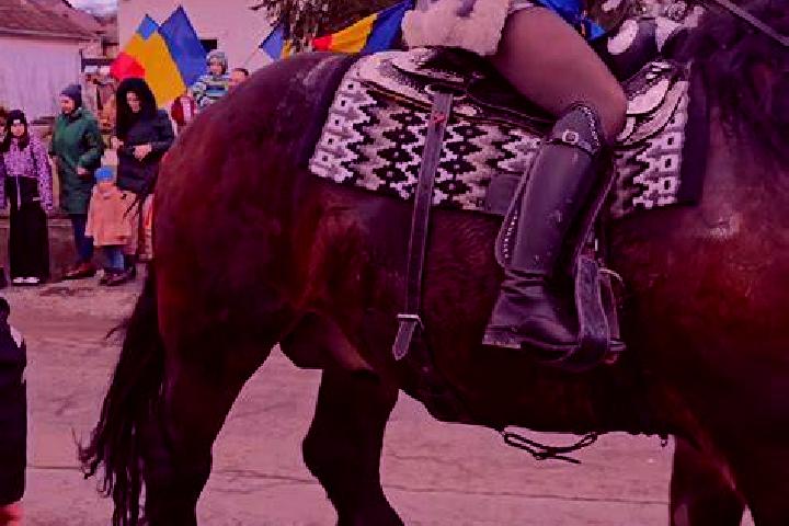 Hazel, 26 — Escort in Barcani, Romania