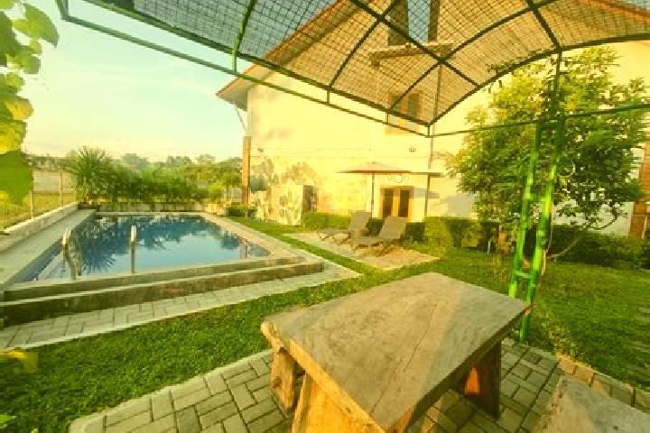 Hazel, 26 — Escort in Beran, Indonesia